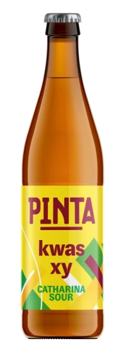 Piwo Pinta Kwas XY Carharina Sour 0,5l 4,7% but. b/z