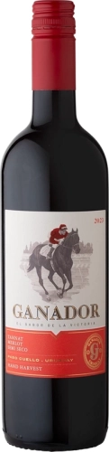 Wino Ganador Merlot 0,75l 12,4% cz/p/w